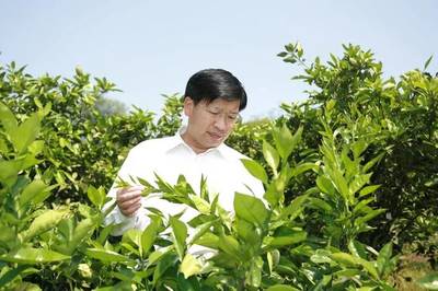 對話雙一流 華中農業大學園藝學科，以科技賦能農業園藝服務